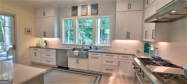 1330 Jackson Ridge Rd, Greensboro, GA 30642 - kitchen with under cabinet range hood, stainless steel dishwasher, tasteful backsplash, white cabinetry, and light wood finished floors
