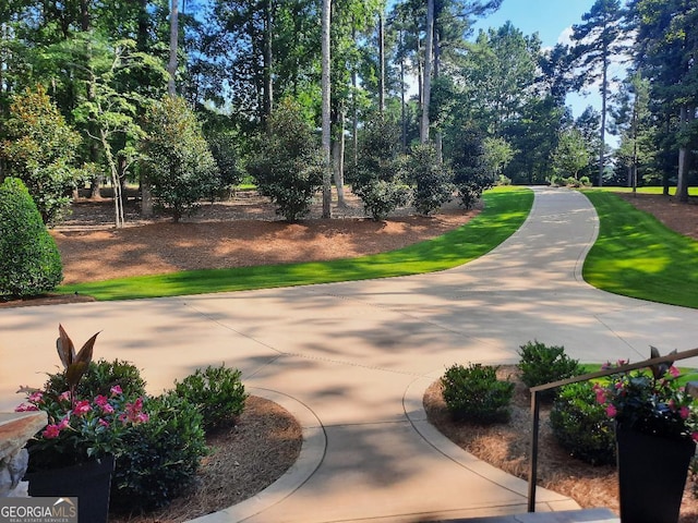 1330 Jackson Ridge Rd, Greensboro, GA 30642 - view of community