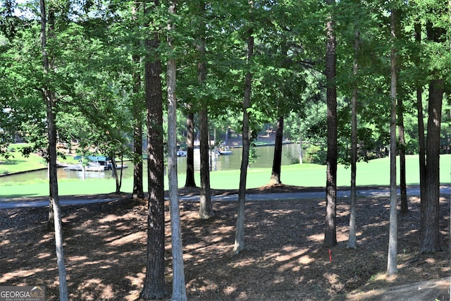 1330 Jackson Ridge Rd, Greensboro, GA 30642 - surrounding community featuring a water view
