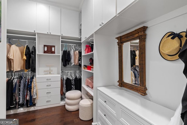 1413 N Walkers Mill Rd, Griffin, GA 30223 - walk in closet with dark wood-style floors