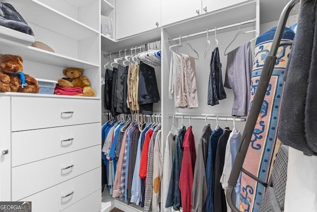 1413 N Walkers Mill Rd, Griffin, GA 30223 - view of spacious closet