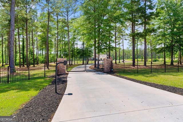 1413 N Walkers Mill Rd, Griffin, GA 30223 - view of community with a gate