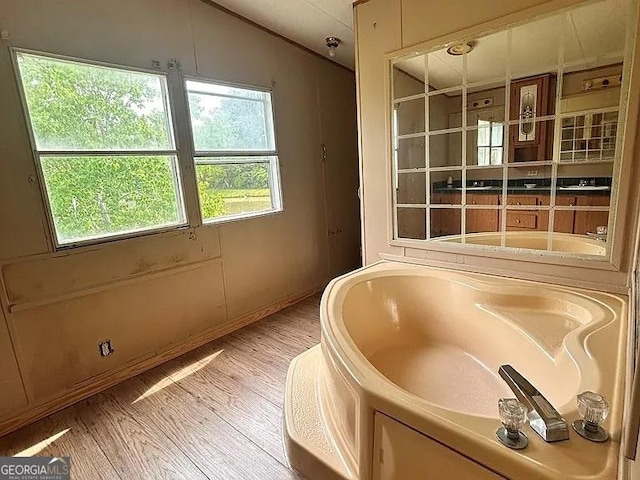 1004 Gordon Ave, Mcrae-Helena, GA 31037 - full bathroom featuring wood finished floors, a bath, and lofted ceiling