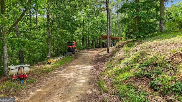 7945 Reinhardt College Pkwy, Waleska, GA 30183 - view of dirt / gravel road with a view of trees