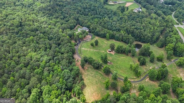 7945 Reinhardt College Pkwy, Waleska, GA 30183 - view of property location with a heavily wooded area