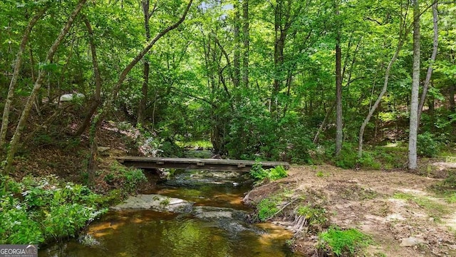 7945 Reinhardt College Pkwy, Waleska, GA 30183 - view of wooded area