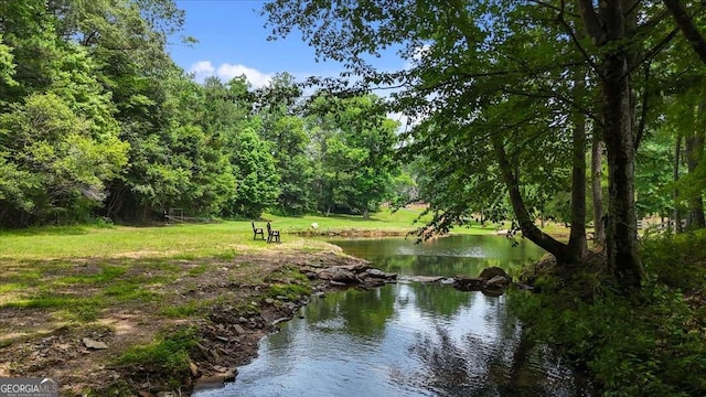 7945 Reinhardt College Pkwy, Waleska, GA 30183 - water view