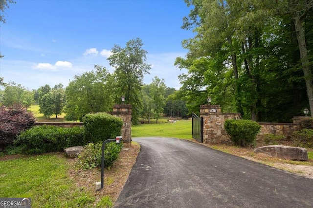 7945 Reinhardt College Pkwy, Waleska, GA 30183 - view of asphalt driveway with a gated entry and street lighting