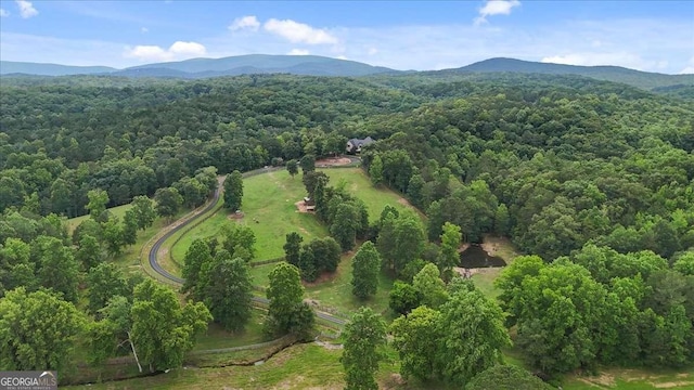 7945 Reinhardt College Pkwy, Waleska, GA 30183 - aerial view of property's location featuring a mountain backdrop and a forest