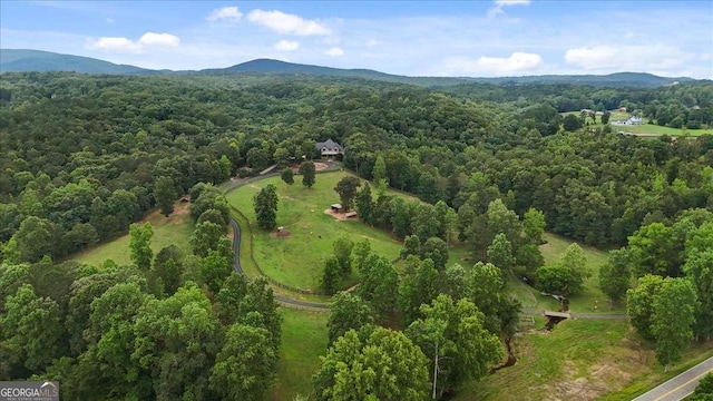 7945 Reinhardt College Pkwy, Waleska, GA 30183 - view of property location featuring a heavily wooded area and a mountainous background