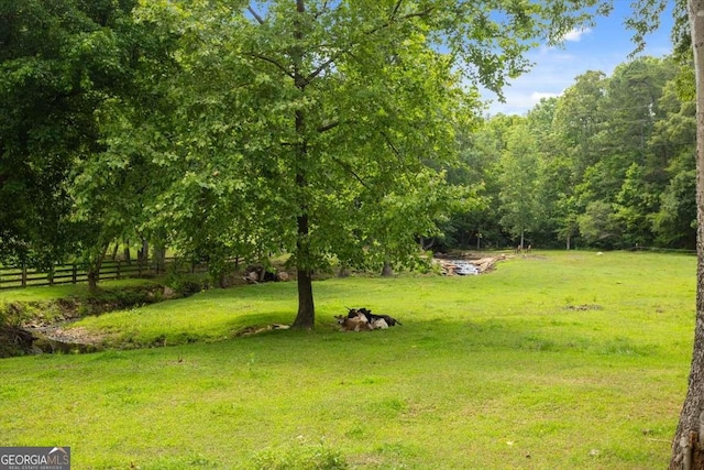 7945 Reinhardt College Pkwy, Waleska, GA 30183 - view of yard