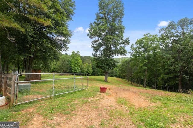 7945 Reinhardt College Pkwy, Waleska, GA 30183 - view of yard featuring a wooded view