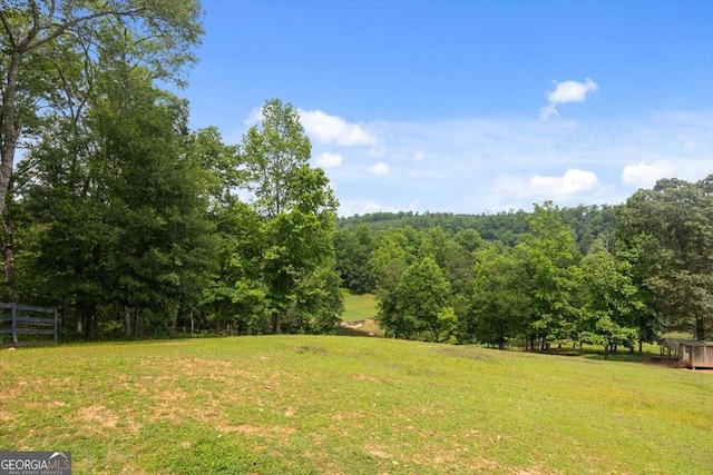 7945 Reinhardt College Pkwy, Waleska, GA 30183 - view of yard with a wooded view