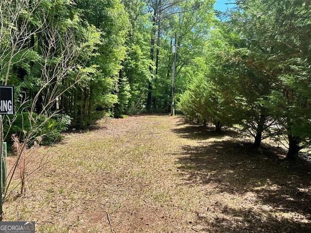230 Vaughn Cir, Griffin, GA 30223 - view of yard