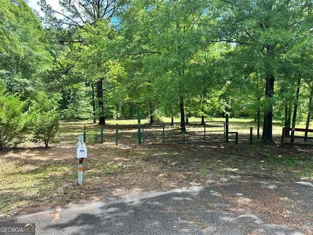 234 Vaughn Cir, Griffin, GA 30223 - view of yard