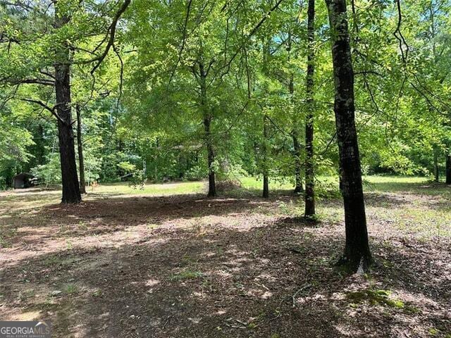 234 Vaughn Cir, Griffin, GA 30223 - view of woods
