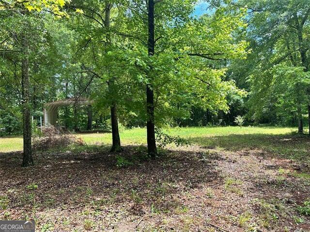 234 Vaughn Cir, Griffin, GA 30223 - view of tree filled area