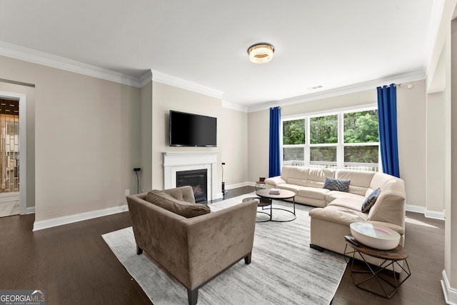 4130 Millbrook Ct, Suwanee, GA 30024 - living area featuring crown molding, a glass covered fireplace, and wood finished floors