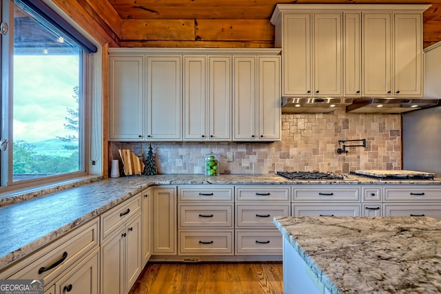 899 Ridge Pointe Way, Blairsville, GA 30512 - kitchen with stainless steel gas stovetop, plenty of natural light, decorative backsplash, and light wood-type flooring
