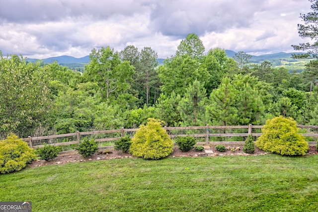 899 Ridge Pointe Way, Blairsville, GA 30512 - view of yard with a mountain view