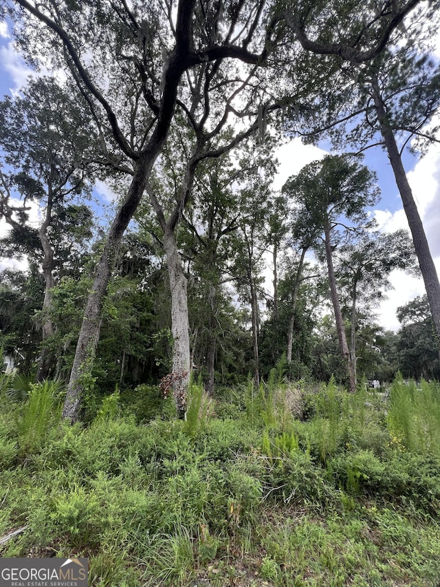 511 Borrell Blvd, Saint Marys, GA 31558