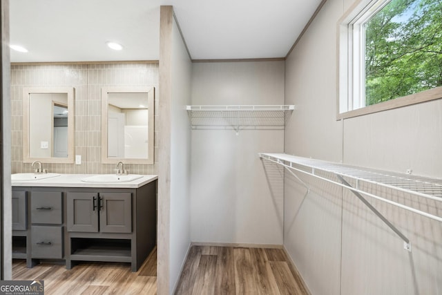 1413 Hephzibah Mcbean Rd, Hephzibah, GA 30815 - bathroom with double vanity, wood finished floors, and a spacious closet
