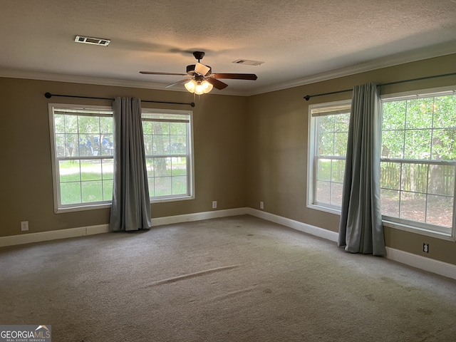 175 Bob White St, Jesup, GA 31545 - carpeted empty room featuring ornamental molding, a ceiling fan, plenty of natural light, and a textured ceiling