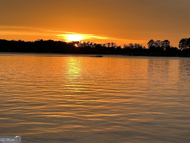 321 Barbara Point Rd, Sparta, GA 31087 - water view