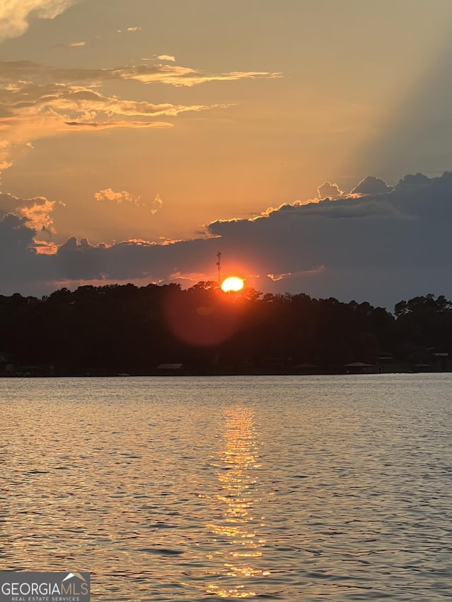 321 Barbara Point Rd, Sparta, GA 31087 - water view