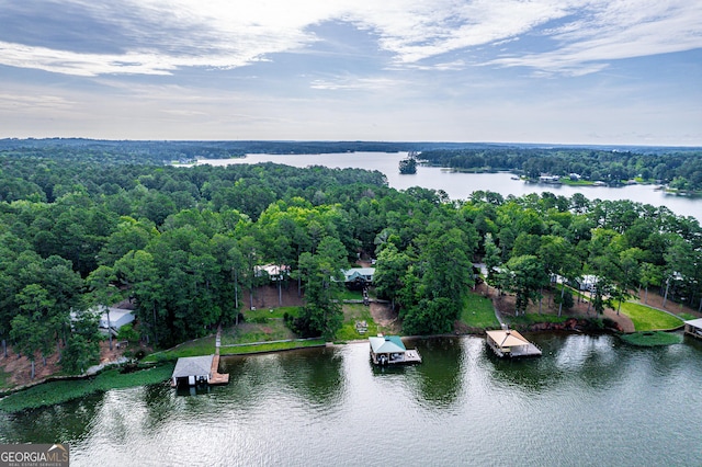 321 Barbara Point Rd, Sparta, GA 31087 - drone / aerial view of a large body of water