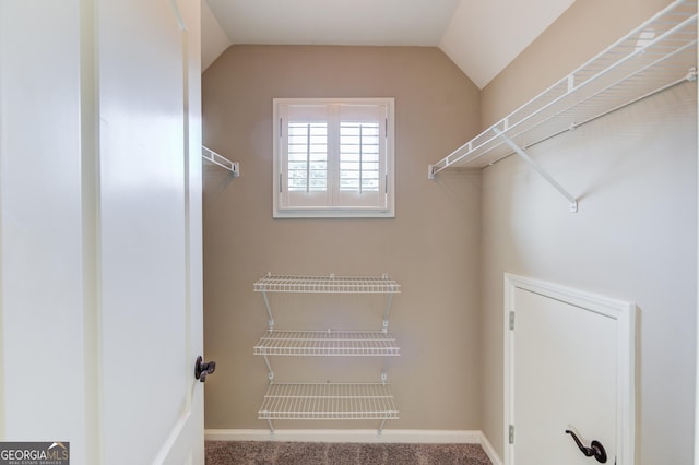 3217 Aberrone Pl, Buford, GA 30519 - walk in closet with vaulted ceiling and carpet floors