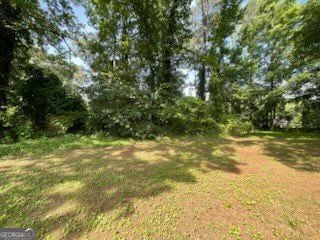 2369 Christian Cir, Covington, GA 30016 - view of undeveloped land