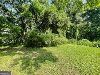 2369 Christian Cir, Covington, GA 30016 - view of local wilderness