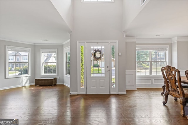1238 New Liberty Way, Braselton, GA 30517 - foyer entrance featuring crown molding, plenty of natural light, hardwood / wood-style floors, and a wainscoted wall