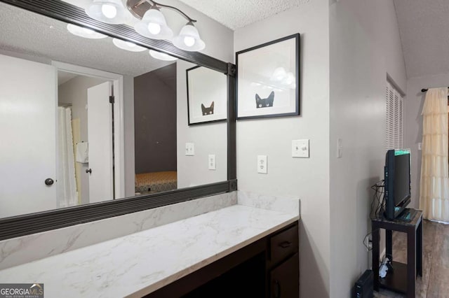 140 Indian Ridge Ct, Waleska, GA 30183 - bathroom with a textured ceiling and vanity