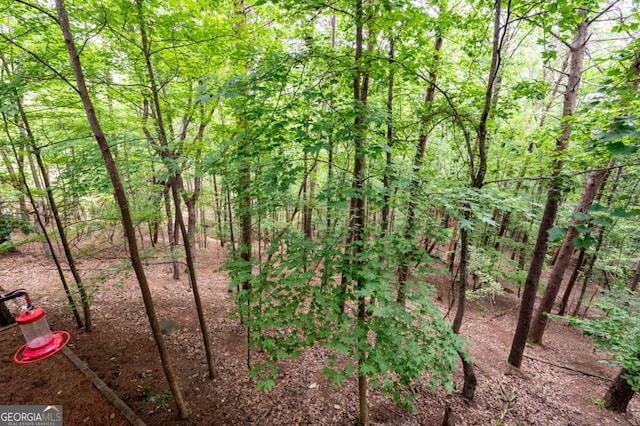 140 Indian Ridge Ct, Waleska, GA 30183 - view of woods