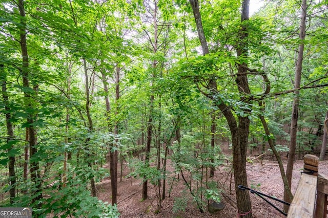 140 Indian Ridge Ct, Waleska, GA 30183 - view of woods
