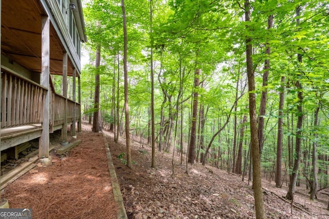 140 Indian Ridge Ct, Waleska, GA 30183 - view of yard featuring a wooded view