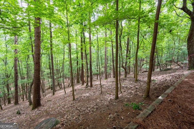 140 Indian Ridge Ct, Waleska, GA 30183 - view of wooded area