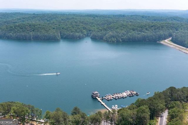 140 Indian Ridge Ct, Waleska, GA 30183 - drone / aerial view of a heavily wooded area and a nearby body of water