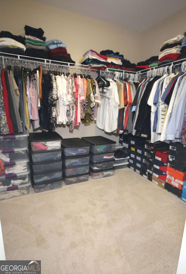 2311 Arnold Palmer Way, Duluth, GA 30096 - spacious closet with carpet floors