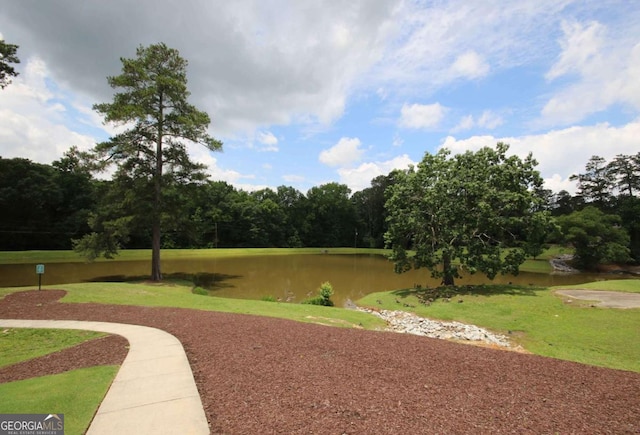 2311 Arnold Palmer Way, Duluth, GA 30096 - surrounding community with a water view and a lawn