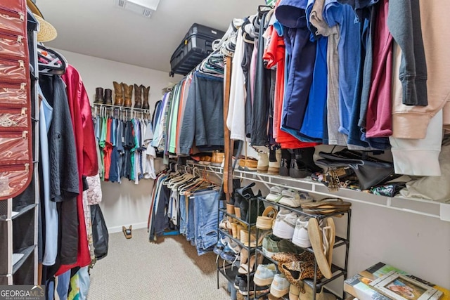610 Syemore Pass, Canton, GA 30115 - spacious closet featuring carpet flooring