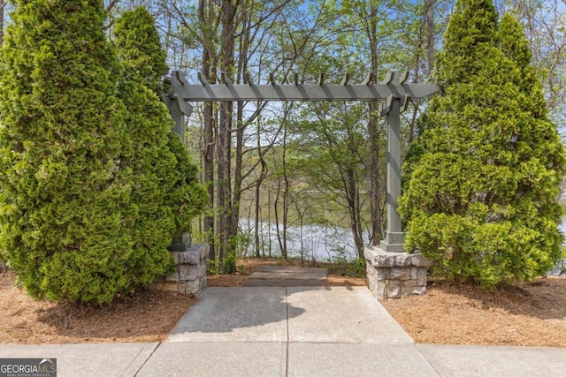 610 Syemore Pass, Canton, GA 30115 - view of home's community