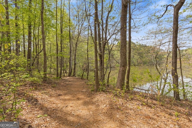 610 Syemore Pass, Canton, GA 30115 - view of wooded area