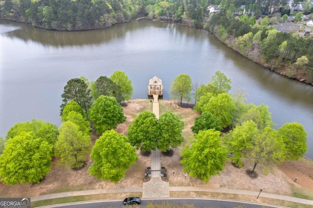 610 Syemore Pass, Canton, GA 30115 - bird's eye view of a large body of water