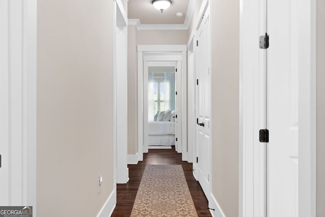 406 Horizon Trl, Canton, GA 30114 - hallway featuring ornamental molding and dark wood-style flooring