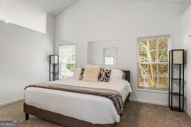 14 Winter Ln, Newnan, GA 30265 - bedroom featuring carpet flooring, high vaulted ceiling, and multiple windows
