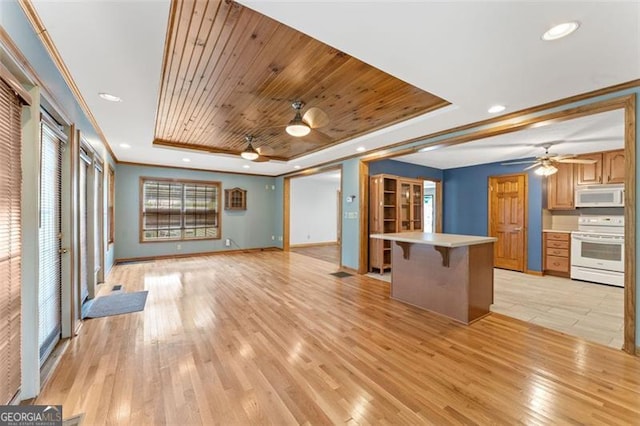 137 Trickum Hills Dr, Woodstock, GA 30188 - unfurnished living room featuring a raised ceiling, a ceiling fan, light wood-type flooring, crown molding, and recessed lighting