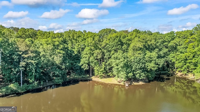 1813 Freeman Rd, Jonesboro, GA 30236 - water view featuring a forest